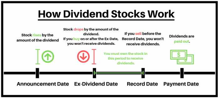 Passive income through dividend investing strategies