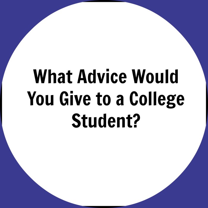Advice student infographic 31st jan